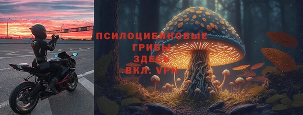 амф Алексеевка