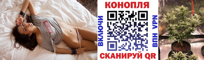 Канабис ГИДРОПОН  Абинск 